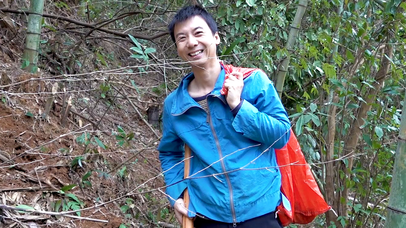 华农兄弟:看下新场的小黄狗,还有兄弟的肥猫,再去竹林挖竹笋